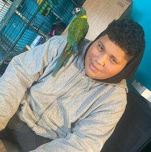 Meet your Posher, Juan a